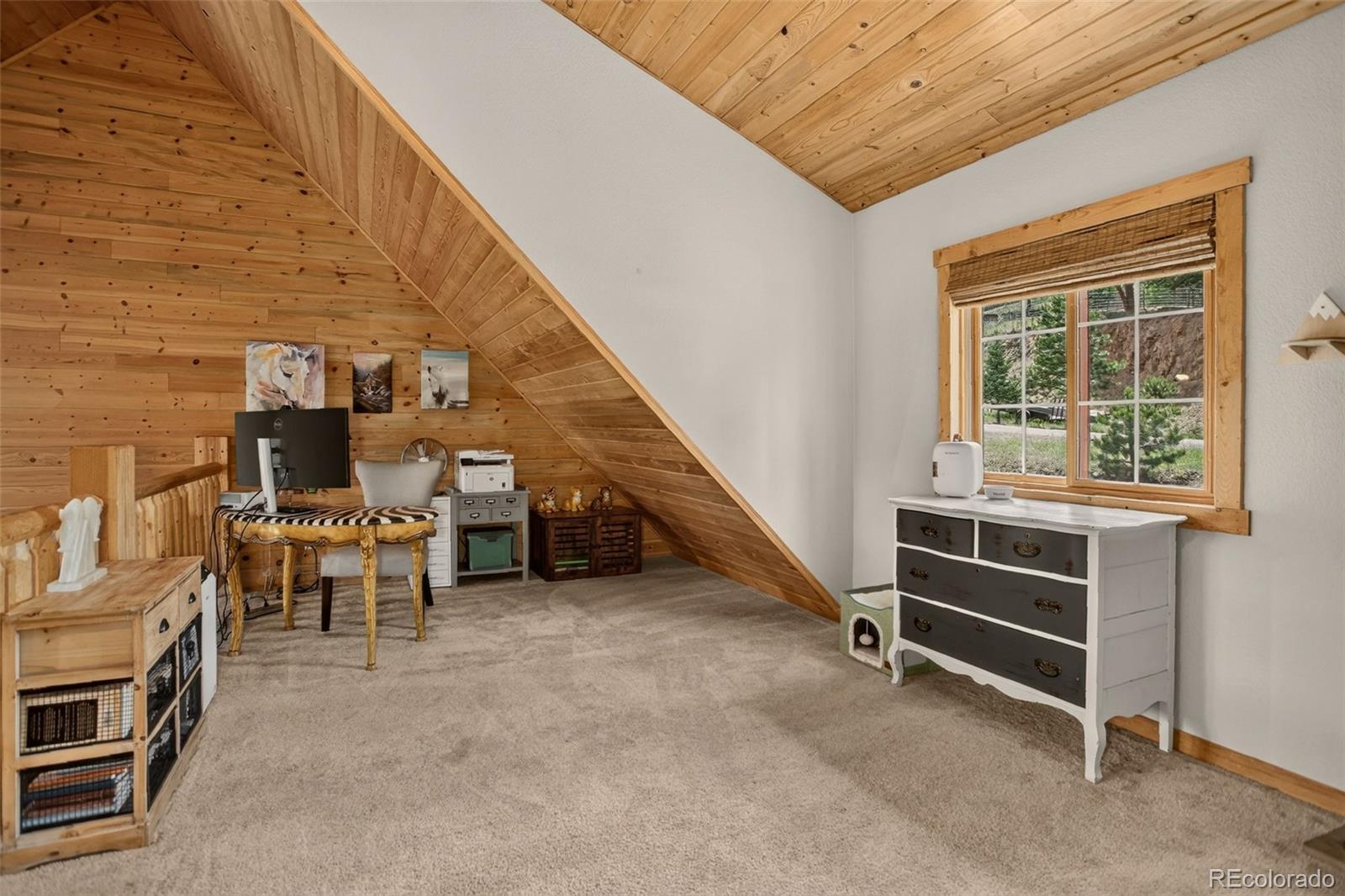 MLS Image #22 for 12090  tecumseh trail,conifer, Colorado