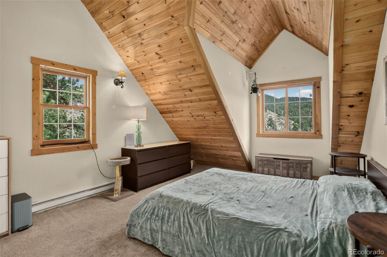 MLS Image #24 for 12090  tecumseh trail,conifer, Colorado
