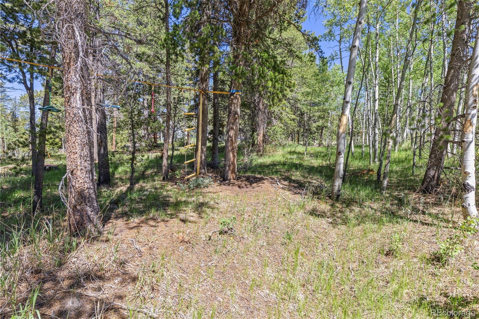 MLS Image #37 for 283  foxtail drive,black hawk, Colorado