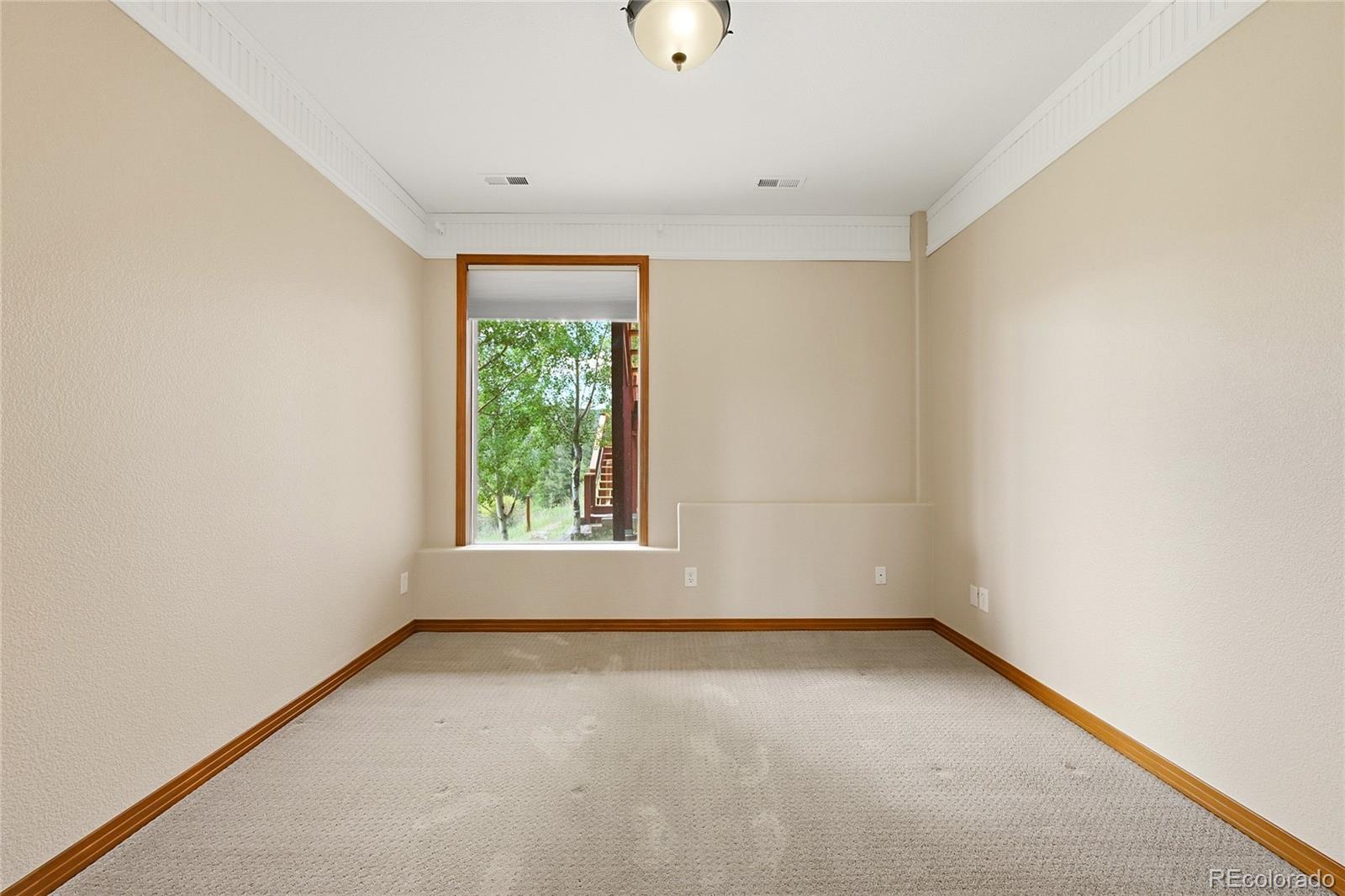 MLS Image #17 for 198  park avenue,pine, Colorado