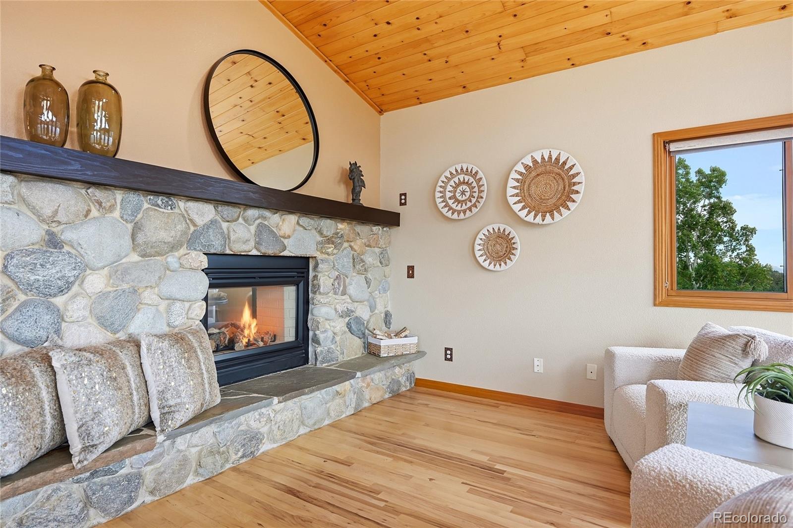 MLS Image #5 for 198  park avenue,pine, Colorado