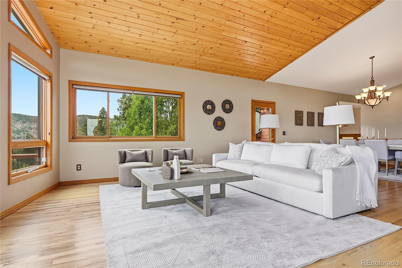 MLS Image #8 for 198  park avenue,pine, Colorado