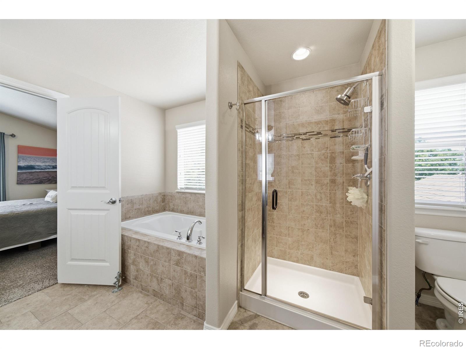 MLS Image #24 for 2710  hydra drive,loveland, Colorado