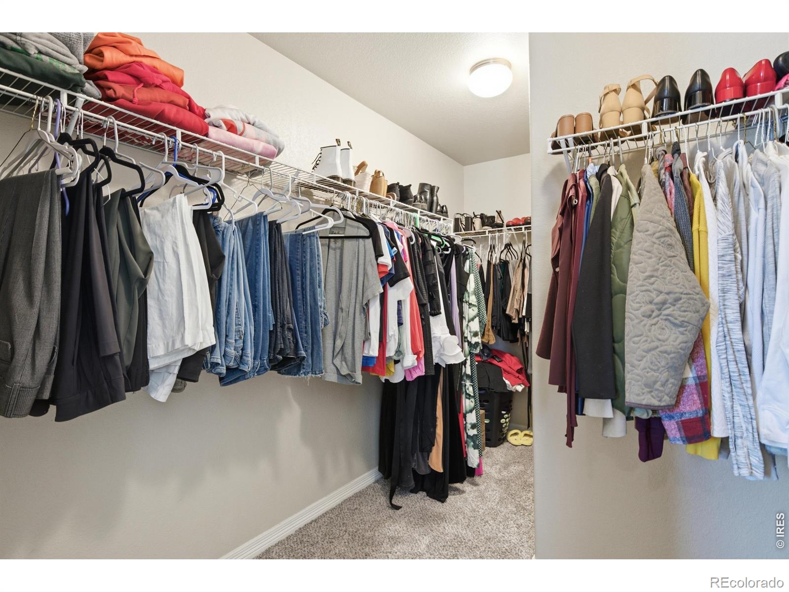 MLS Image #25 for 2710  hydra drive,loveland, Colorado