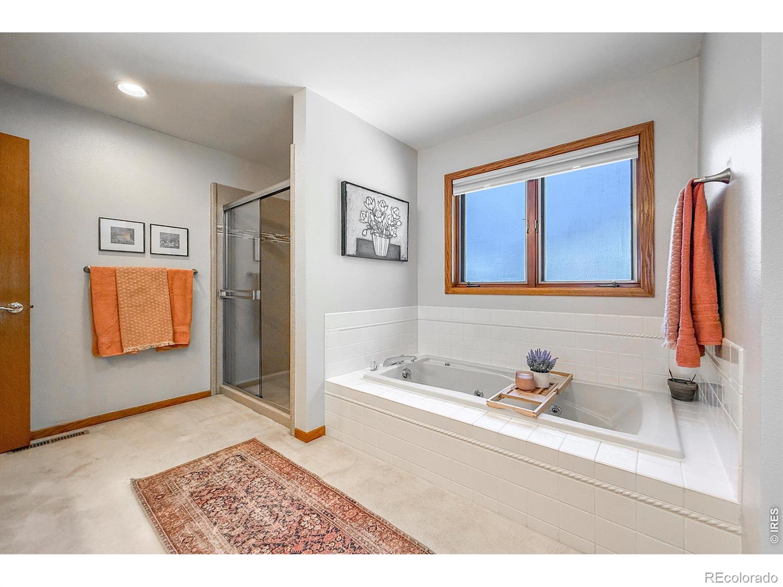 MLS Image #23 for 1234  twin peaks circle,longmont, Colorado