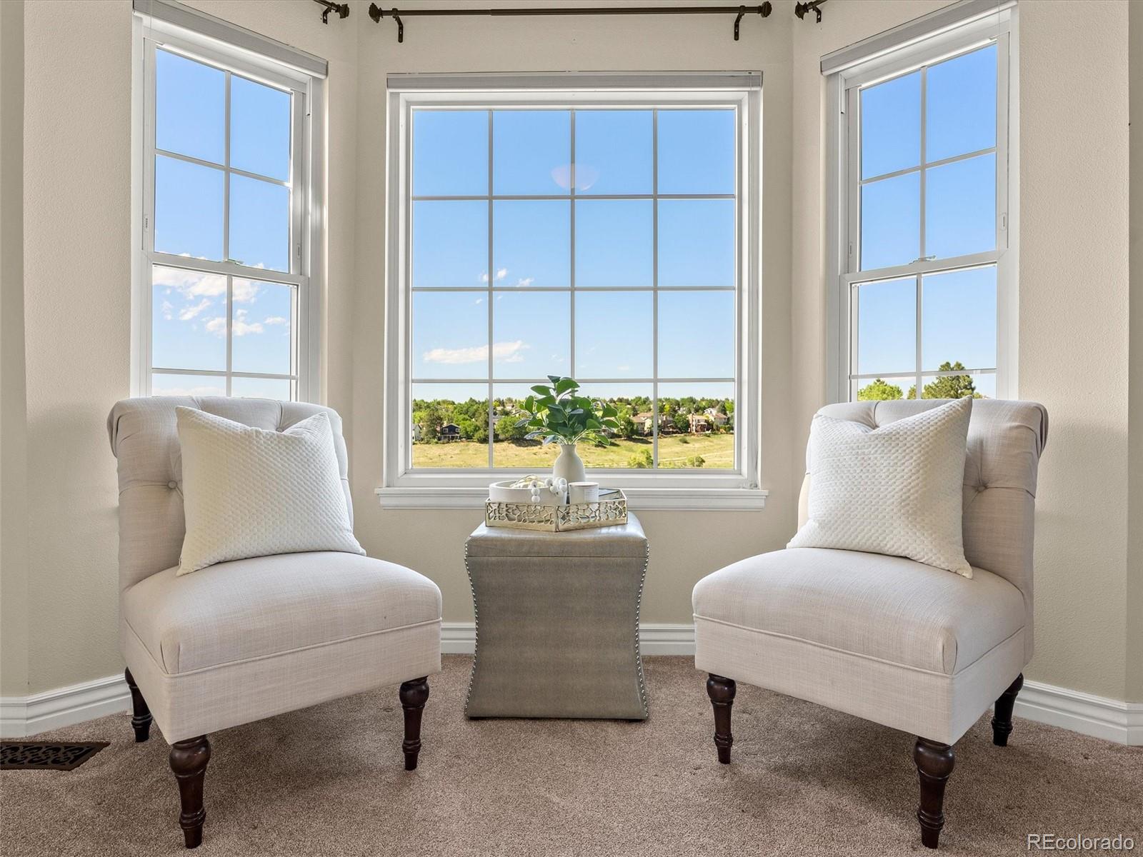 MLS Image #27 for 1475  saltbush ridge road,littleton, Colorado