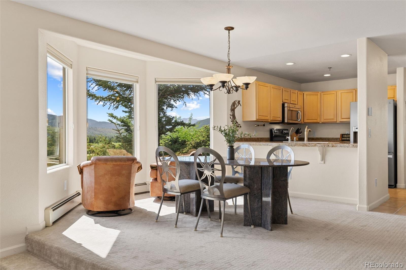 MLS Image #19 for 114  beaver lodge road,frisco, Colorado