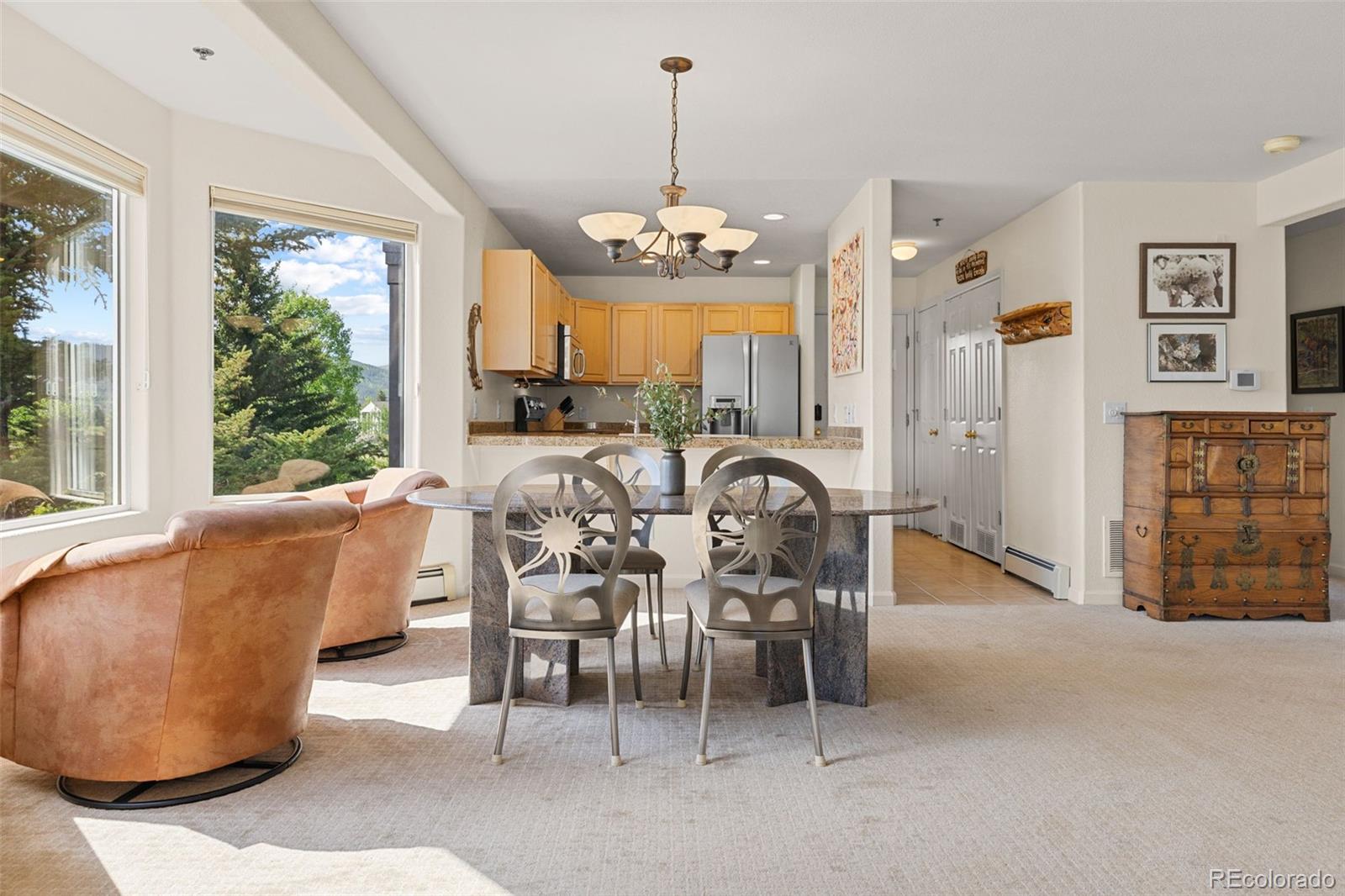 MLS Image #20 for 114  beaver lodge road,frisco, Colorado
