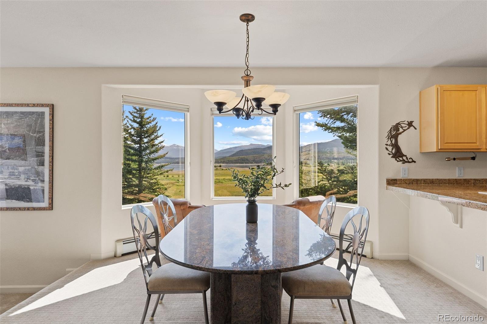 MLS Image #21 for 114  beaver lodge road,frisco, Colorado
