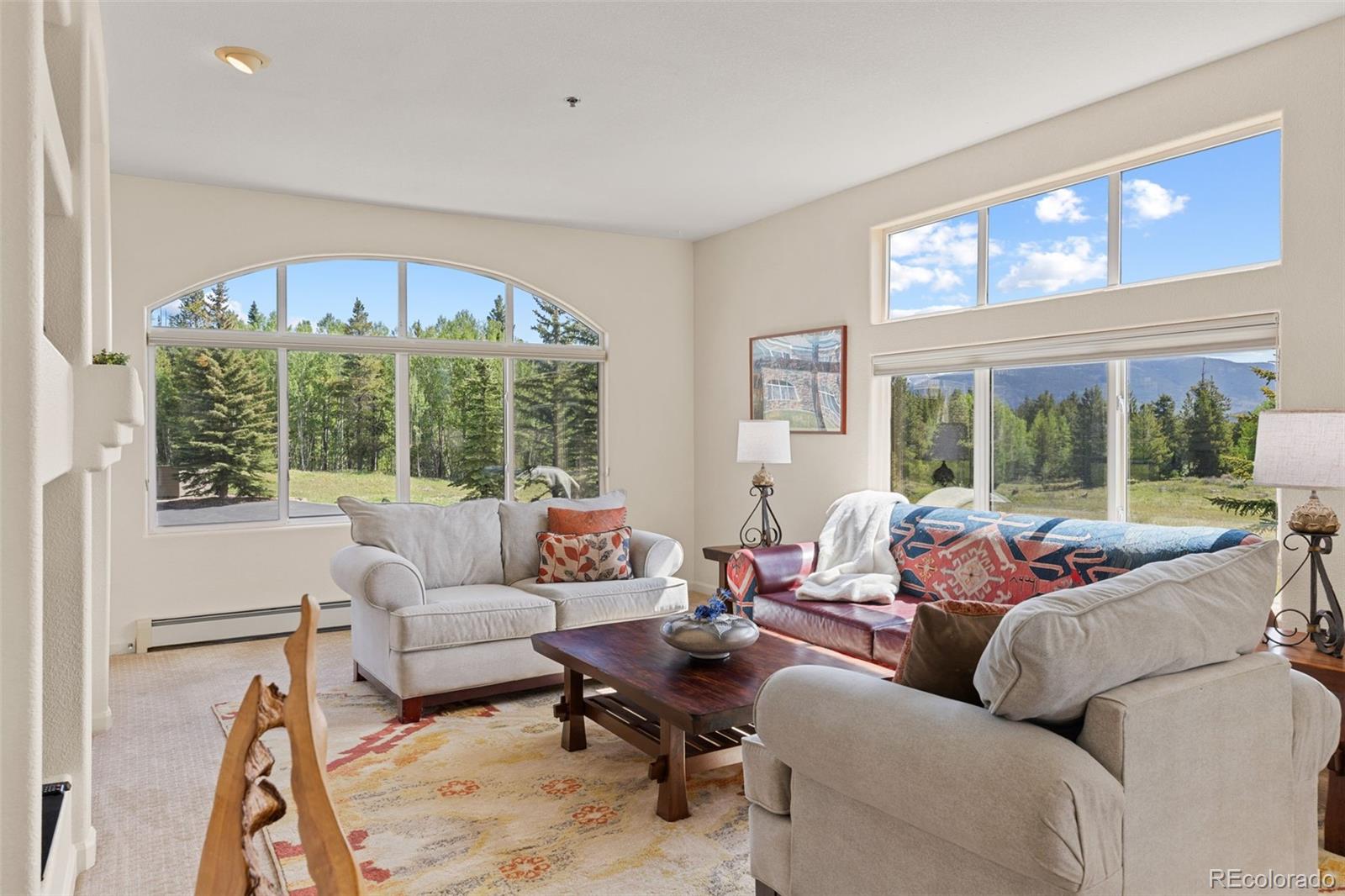 MLS Image #25 for 114  beaver lodge road,frisco, Colorado