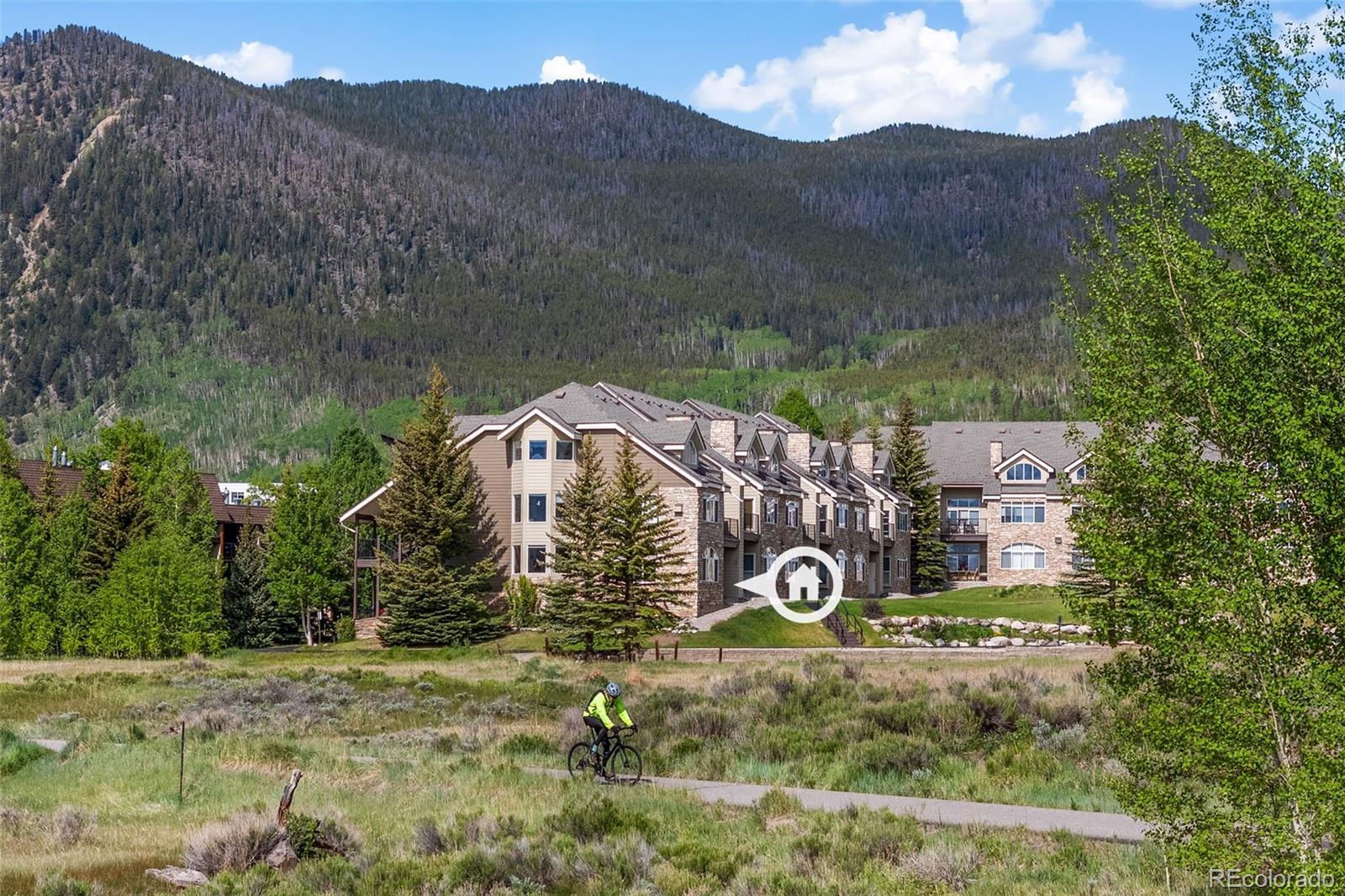 MLS Image #6 for 114  beaver lodge road,frisco, Colorado