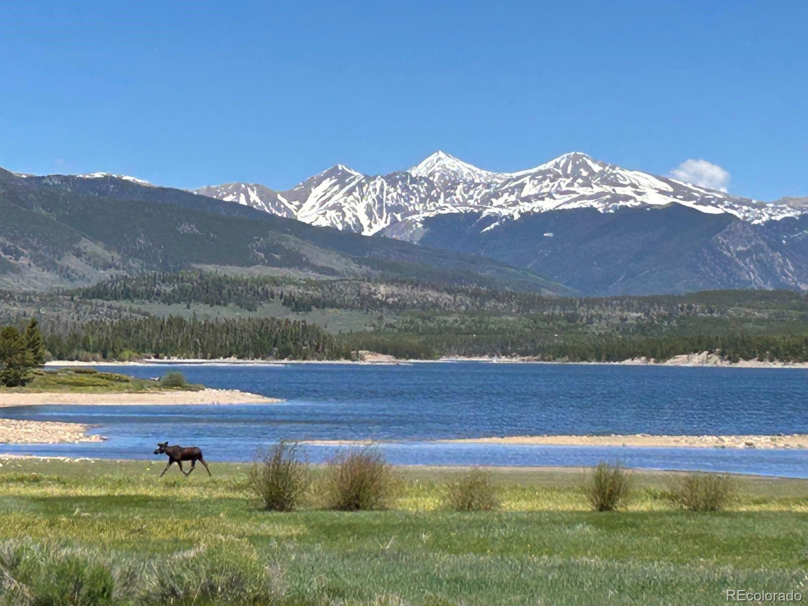 MLS Image #8 for 114  beaver lodge road,frisco, Colorado