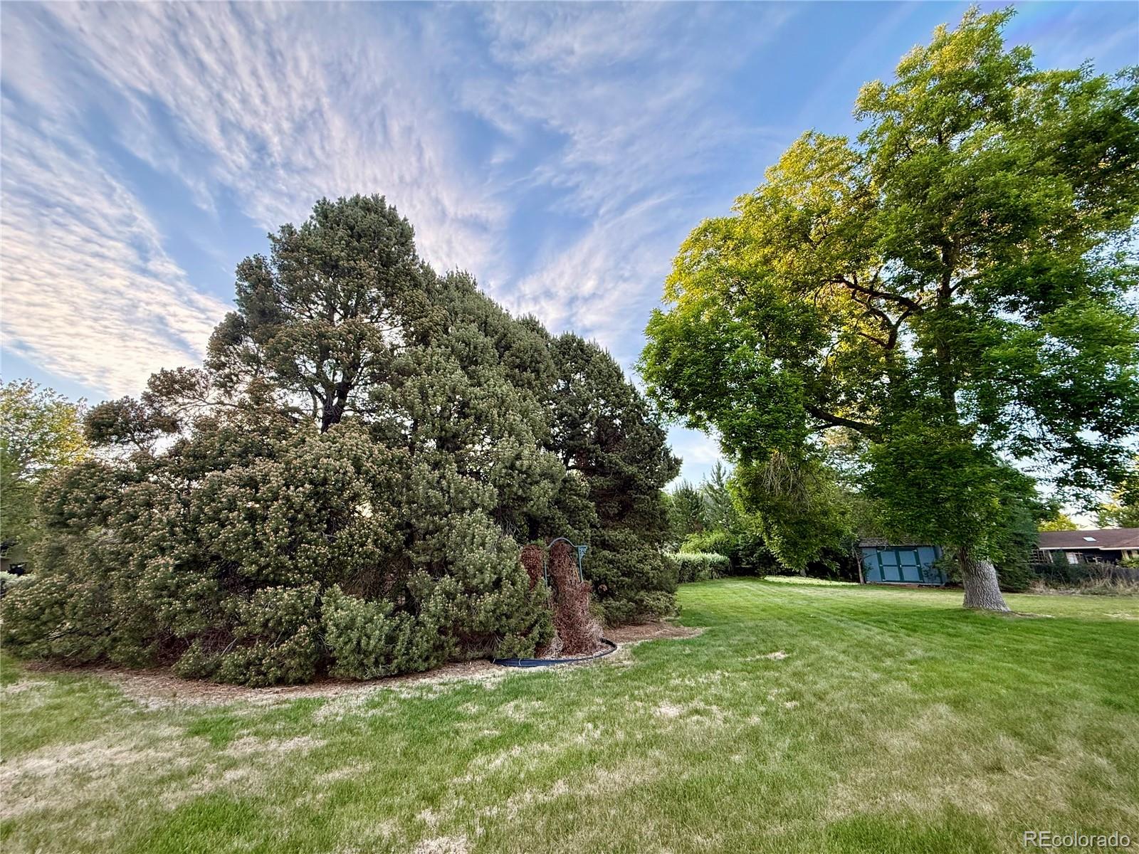 MLS Image #9 for 4670  bow mar drive,littleton, Colorado