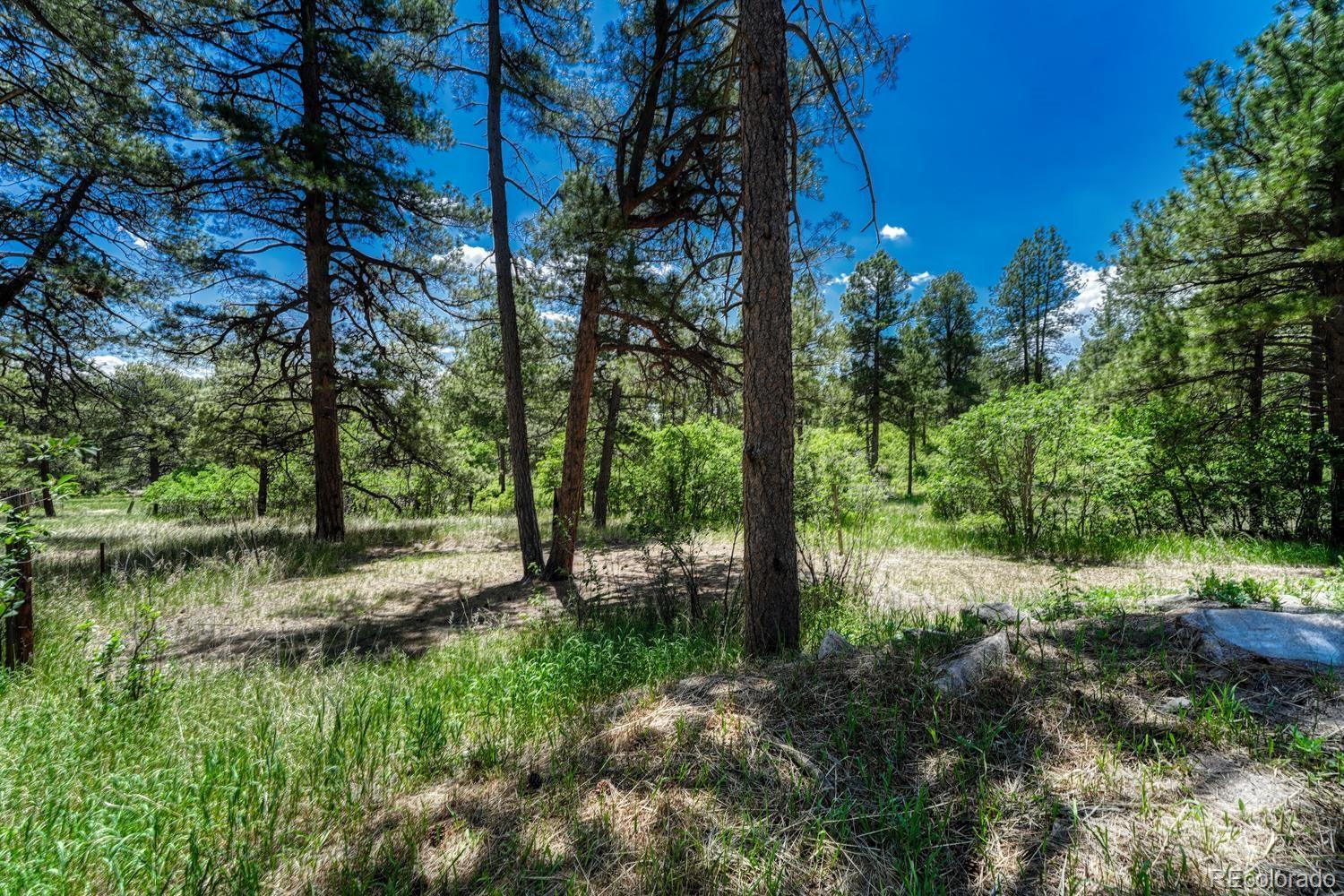 MLS Image #45 for 9306 s curtis road,larkspur, Colorado