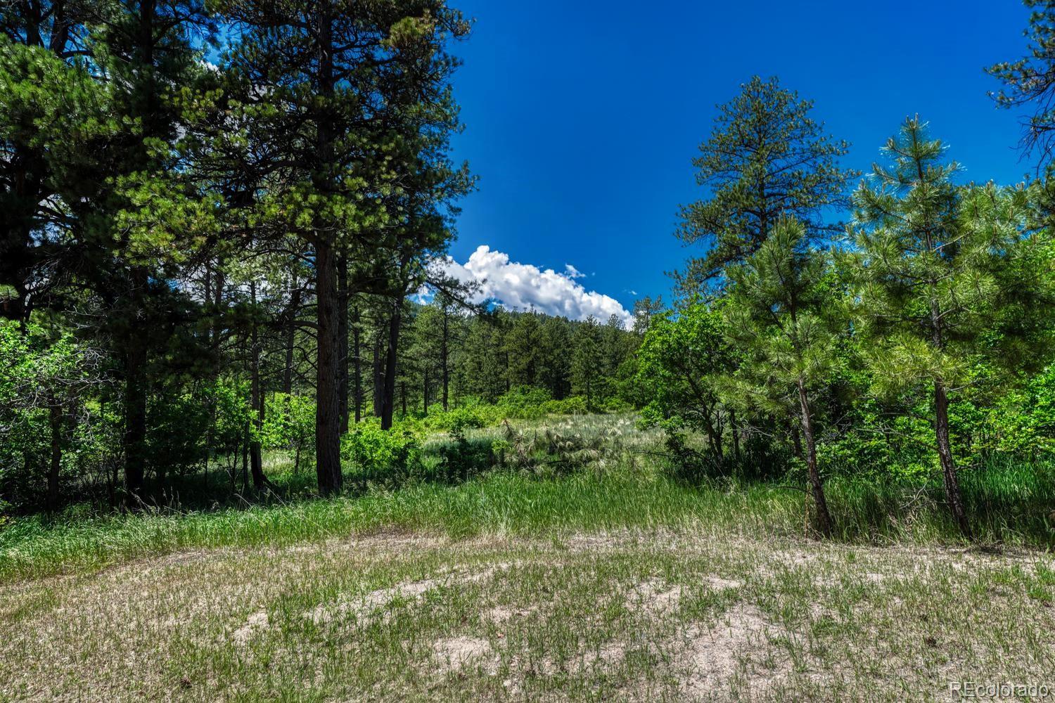 MLS Image #46 for 9306 s curtis road,larkspur, Colorado