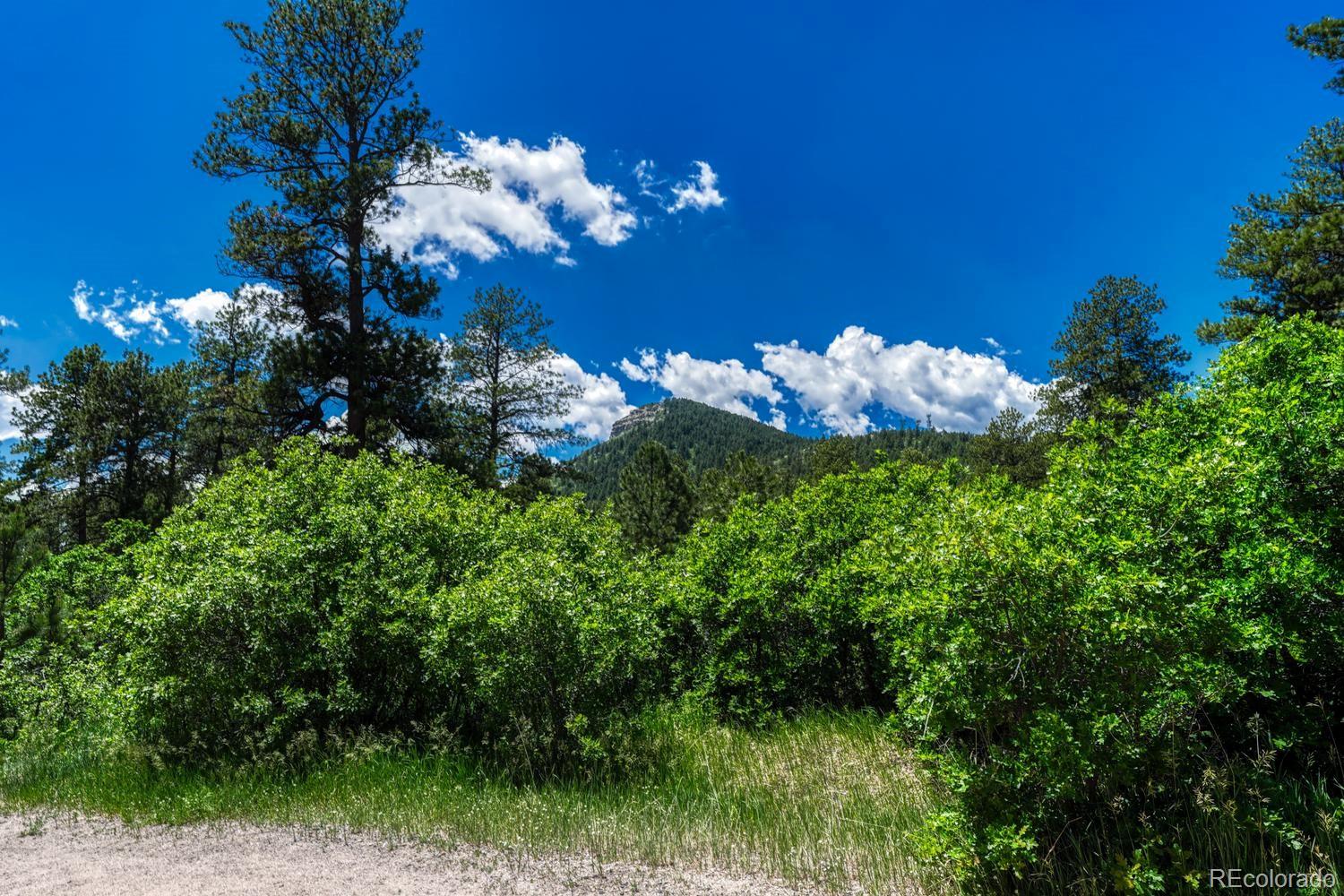 MLS Image #47 for 9306 s curtis road,larkspur, Colorado