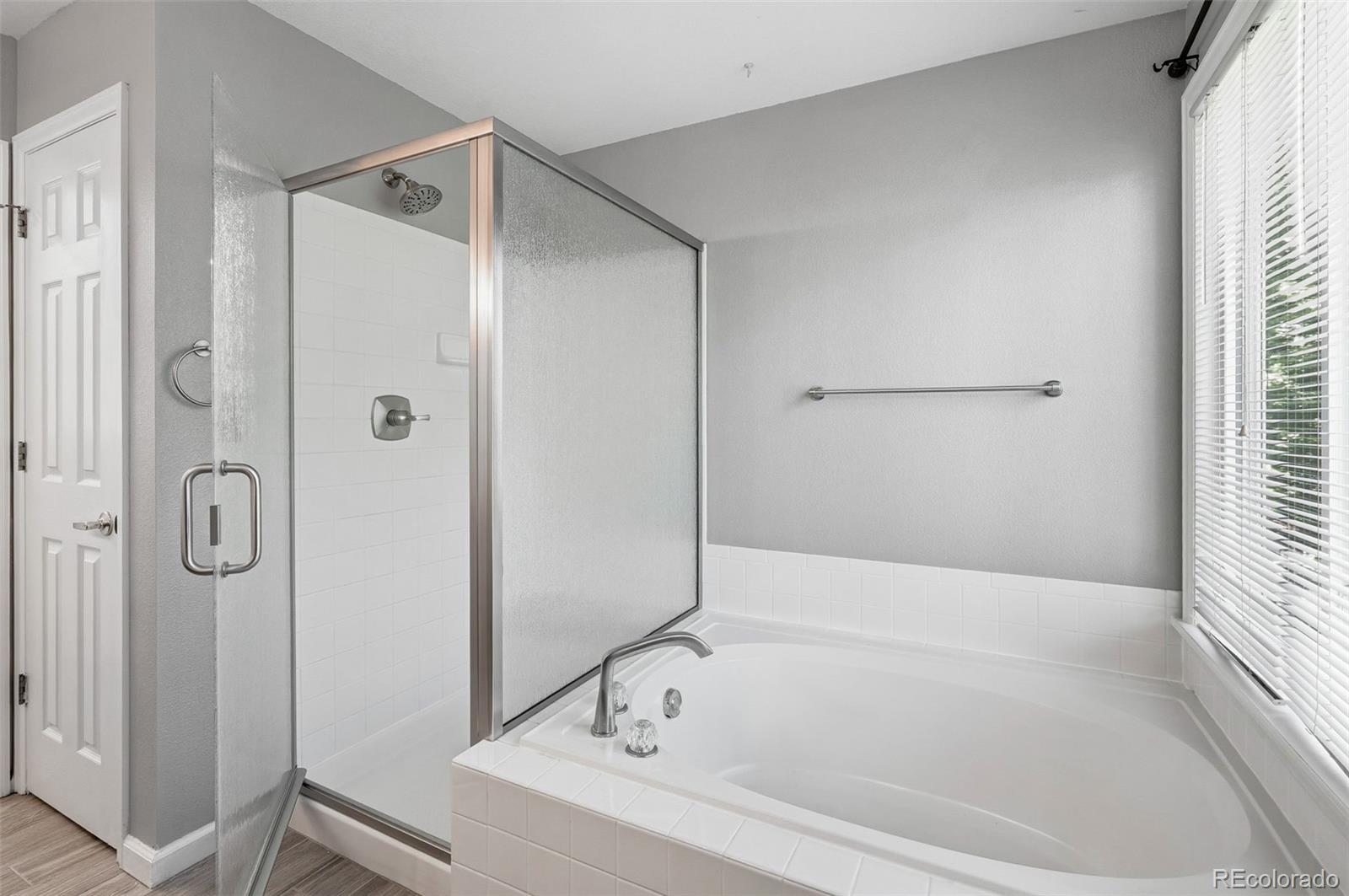 MLS Image #16 for 10207  feldspar court,parker, Colorado