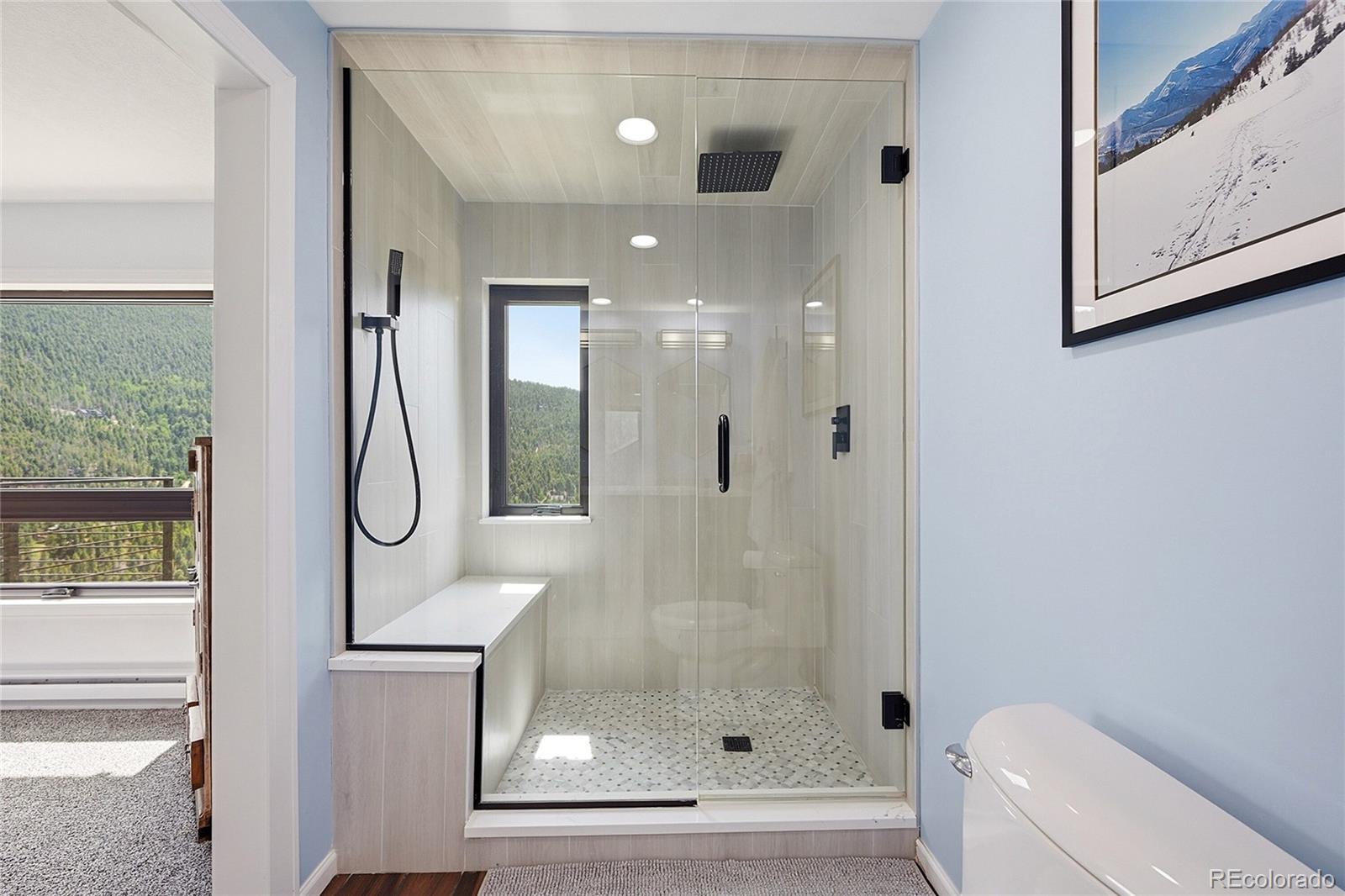 MLS Image #11 for 23976  bent feather road,conifer, Colorado