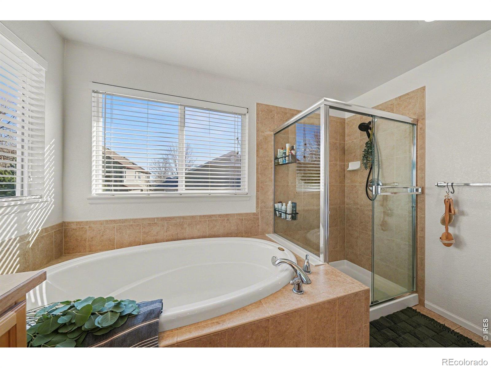 MLS Image #35 for 1345  forrestal drive,fort collins, Colorado