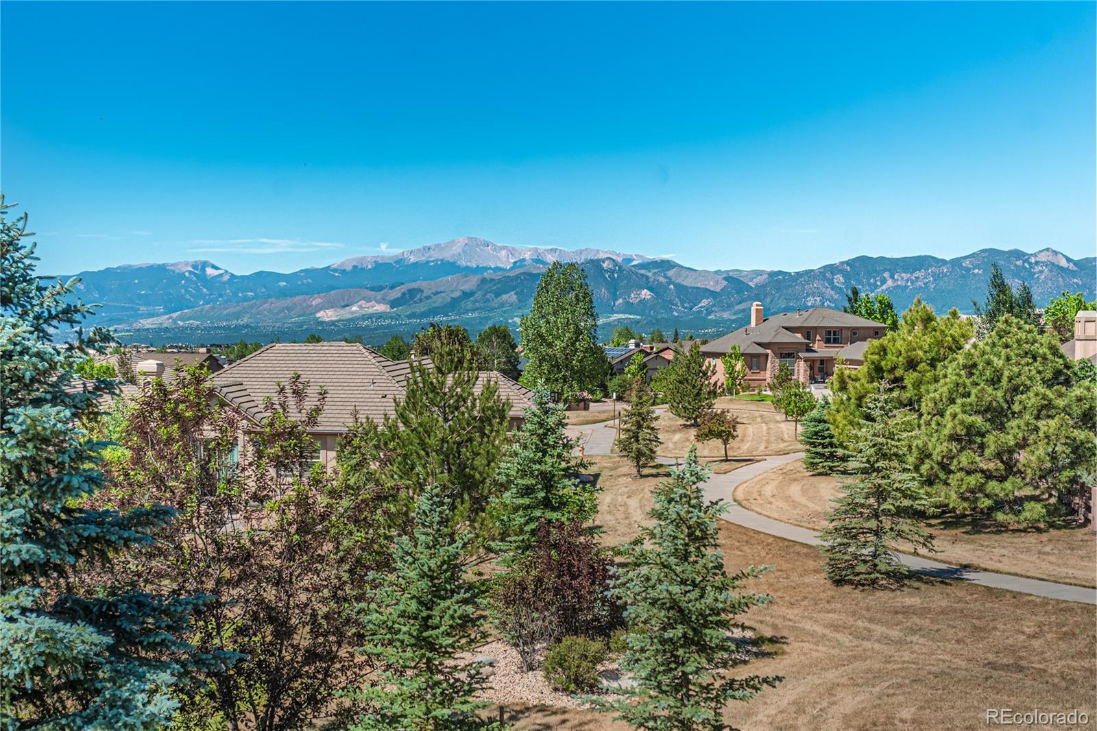 MLS Image #1 for 2613  crooked vine court,colorado springs, Colorado