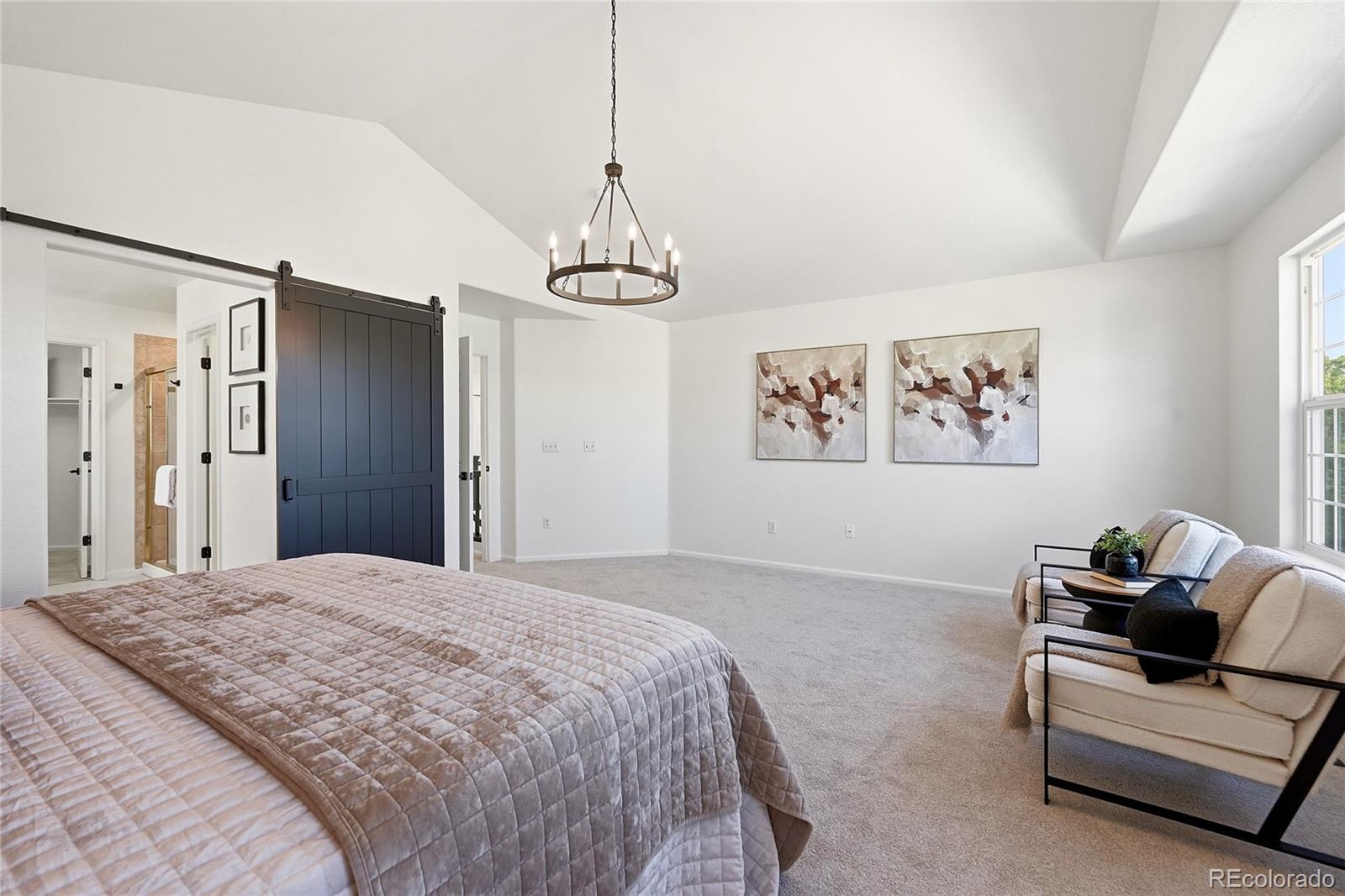 MLS Image #20 for 11680  snowcreek lane,parker, Colorado