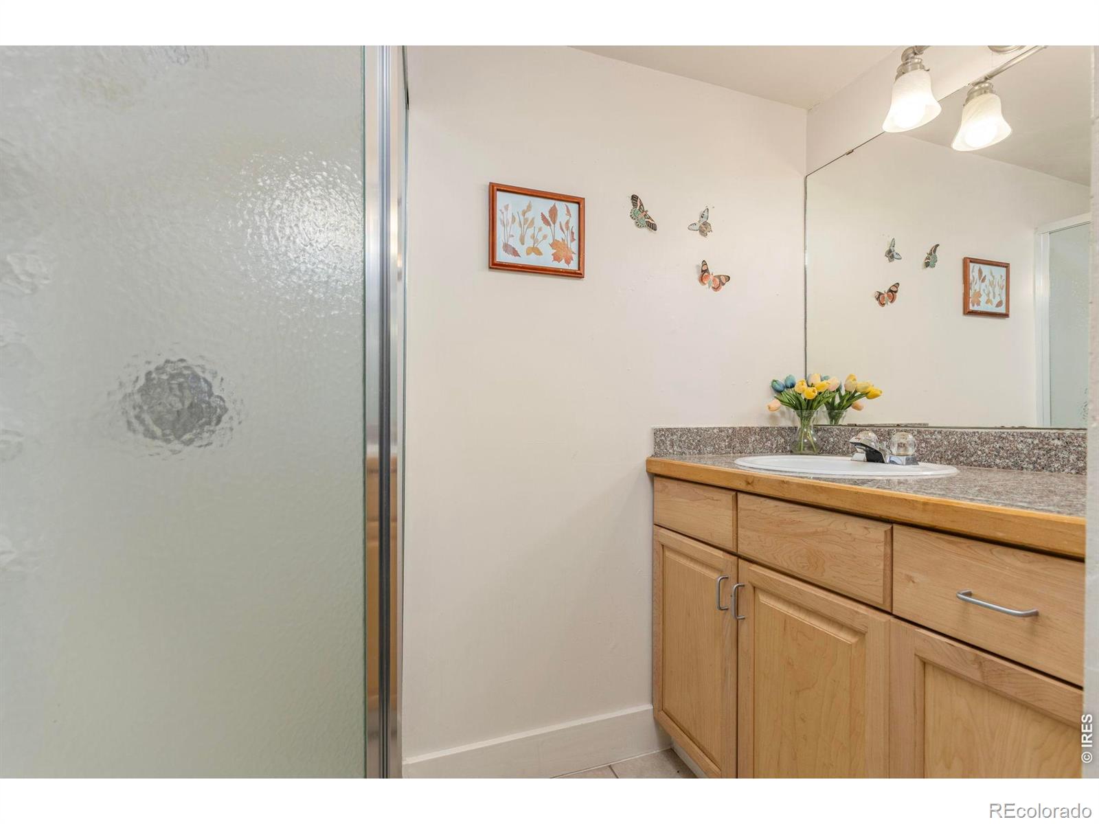 MLS Image #23 for 206 s shields street,fort collins, Colorado