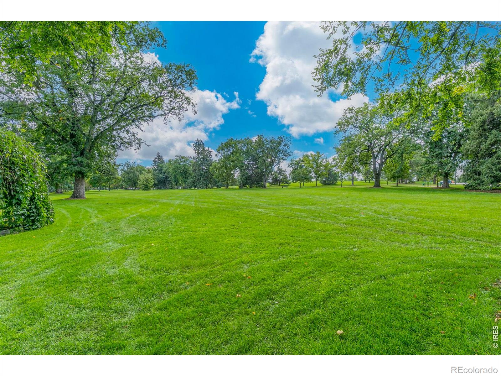 MLS Image #37 for 206 s shields street,fort collins, Colorado