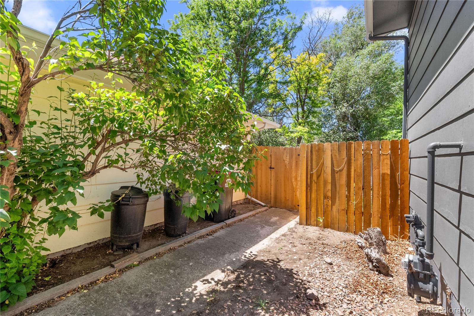 MLS Image #4 for 4606  la cresta drive,colorado springs, Colorado