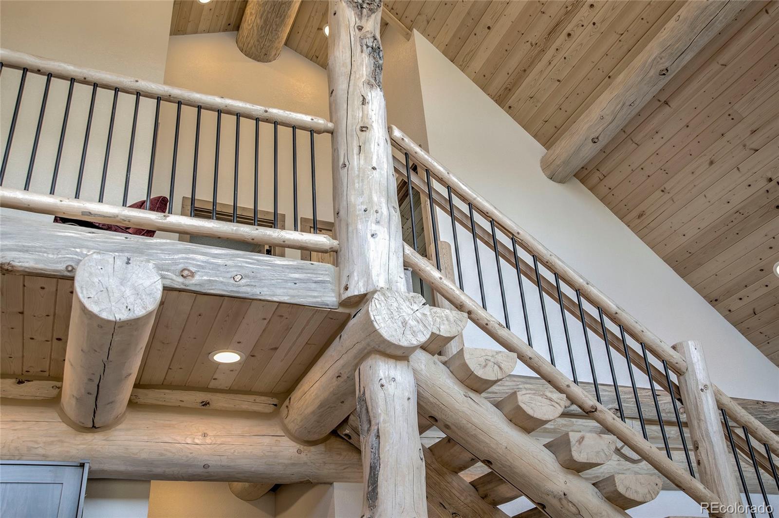 MLS Image #12 for 629  bum drive,fairplay, Colorado