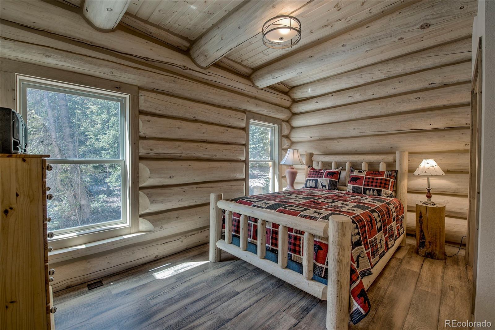 MLS Image #13 for 629  bum drive,fairplay, Colorado