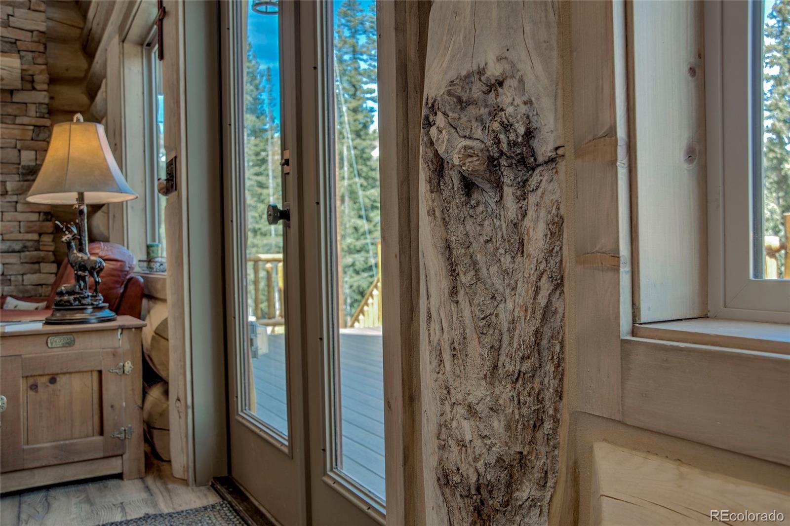 MLS Image #16 for 629  bum drive,fairplay, Colorado