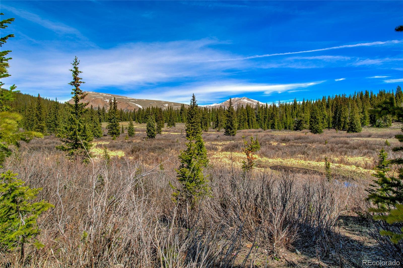 MLS Image #23 for 629  bum drive,fairplay, Colorado