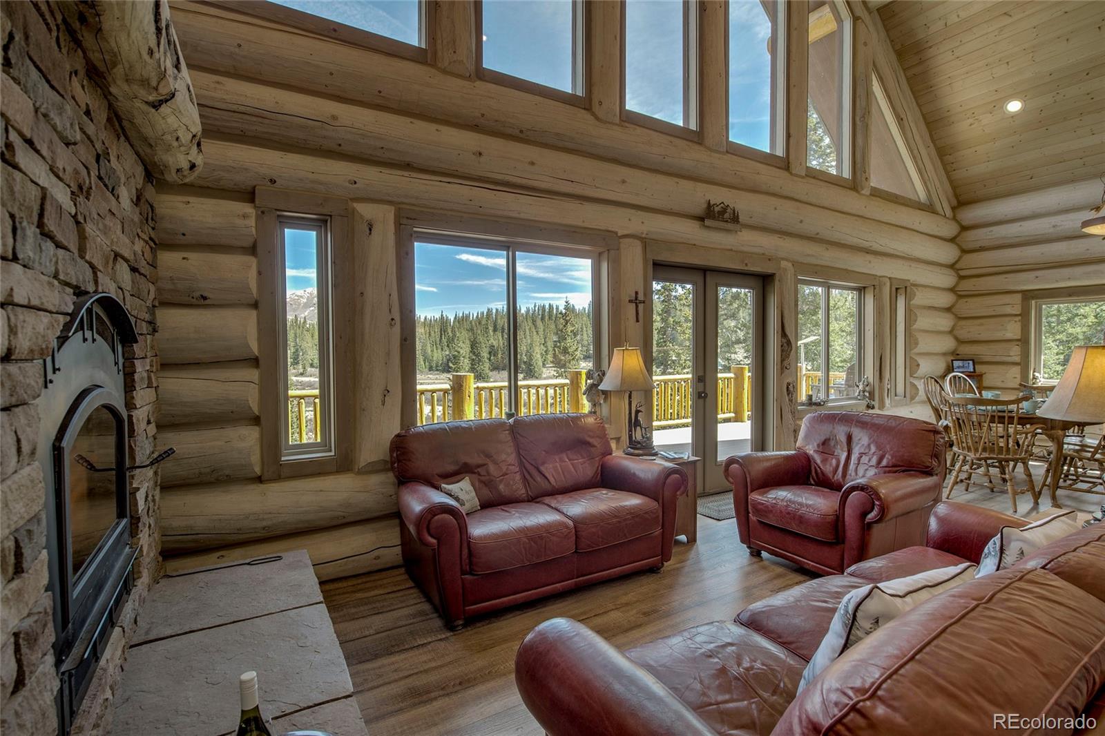 MLS Image #3 for 629  bum drive,fairplay, Colorado