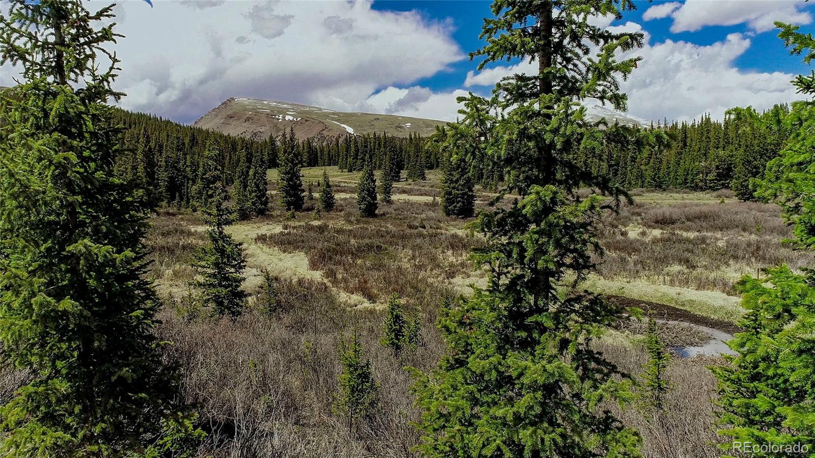 MLS Image #34 for 629  bum drive,fairplay, Colorado