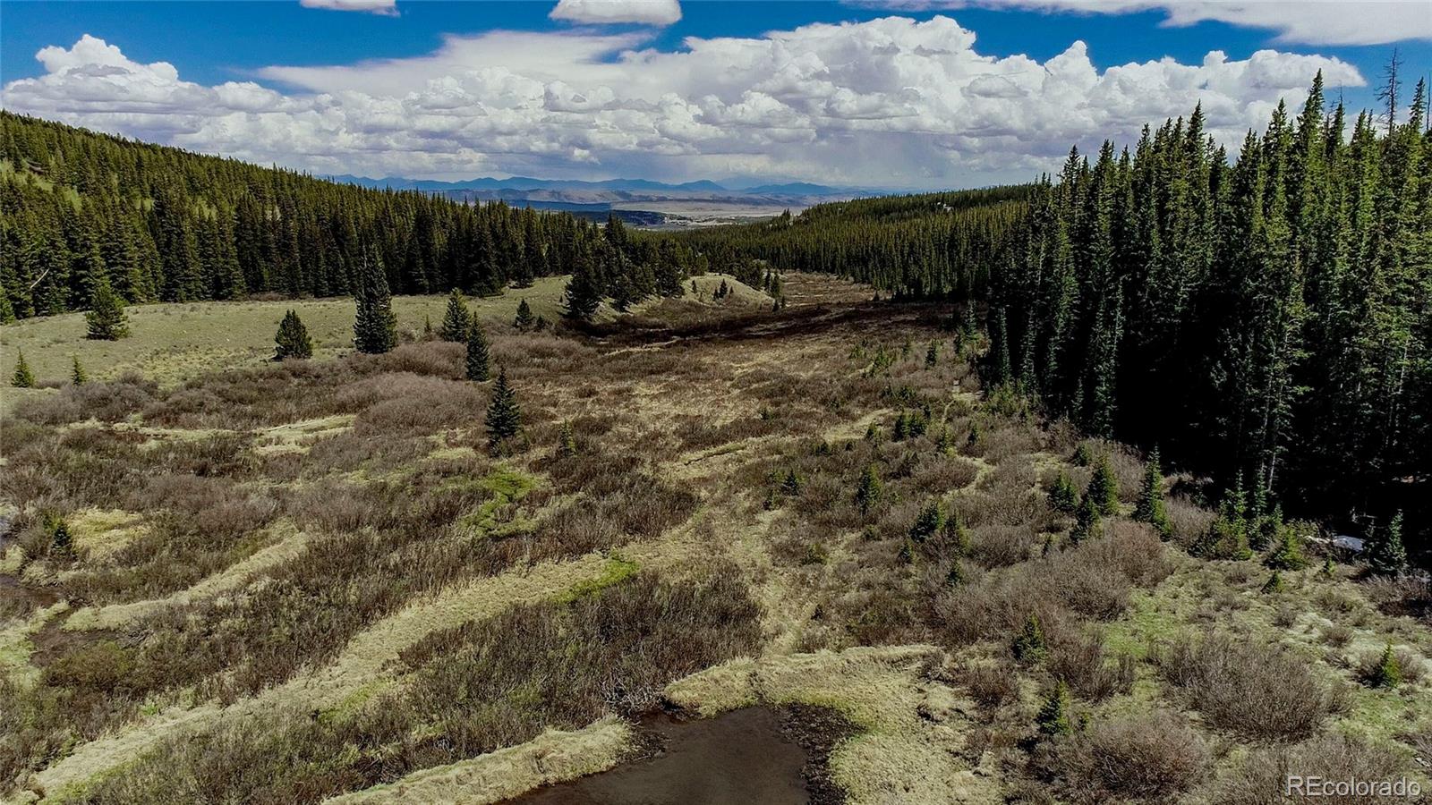 MLS Image #35 for 629  bum drive,fairplay, Colorado