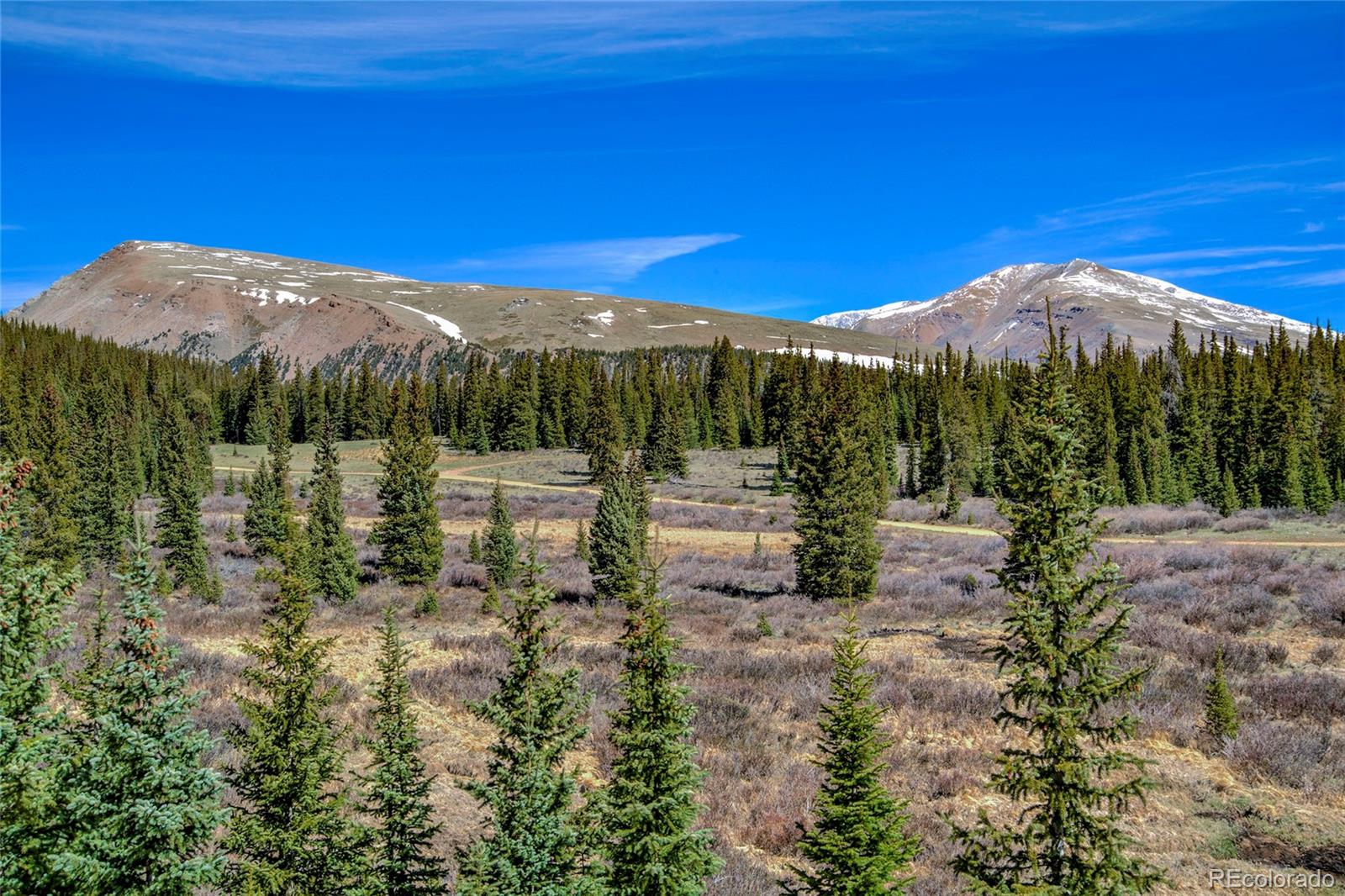 MLS Image #41 for 629  bum drive,fairplay, Colorado