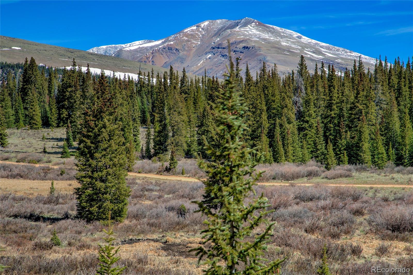 MLS Image #42 for 629  bum drive,fairplay, Colorado