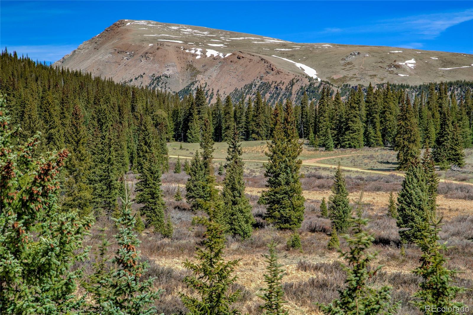 MLS Image #43 for 629  bum drive,fairplay, Colorado