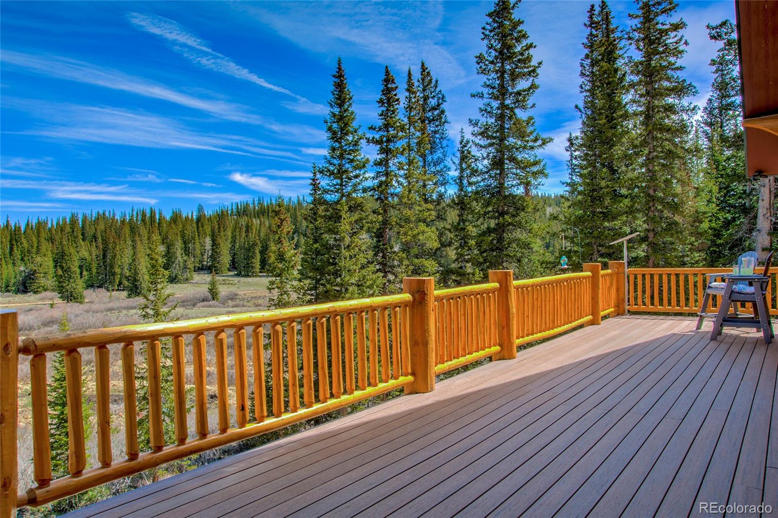 MLS Image #44 for 629  bum drive,fairplay, Colorado