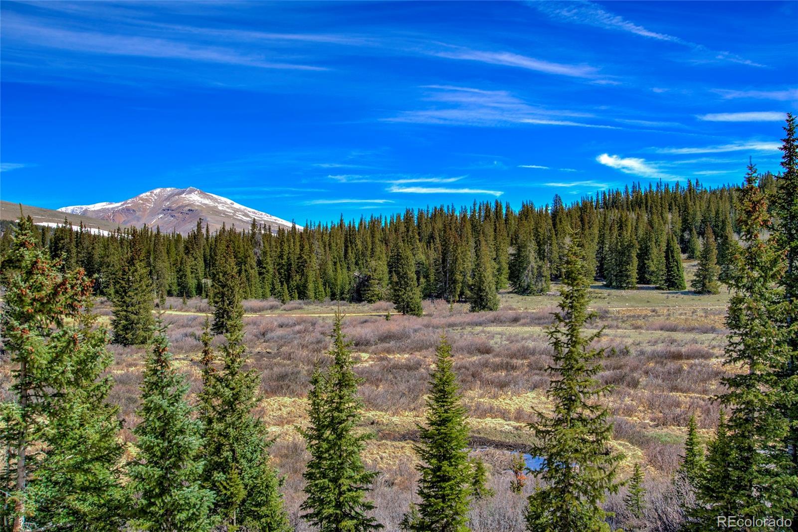 MLS Image #45 for 629  bum drive,fairplay, Colorado