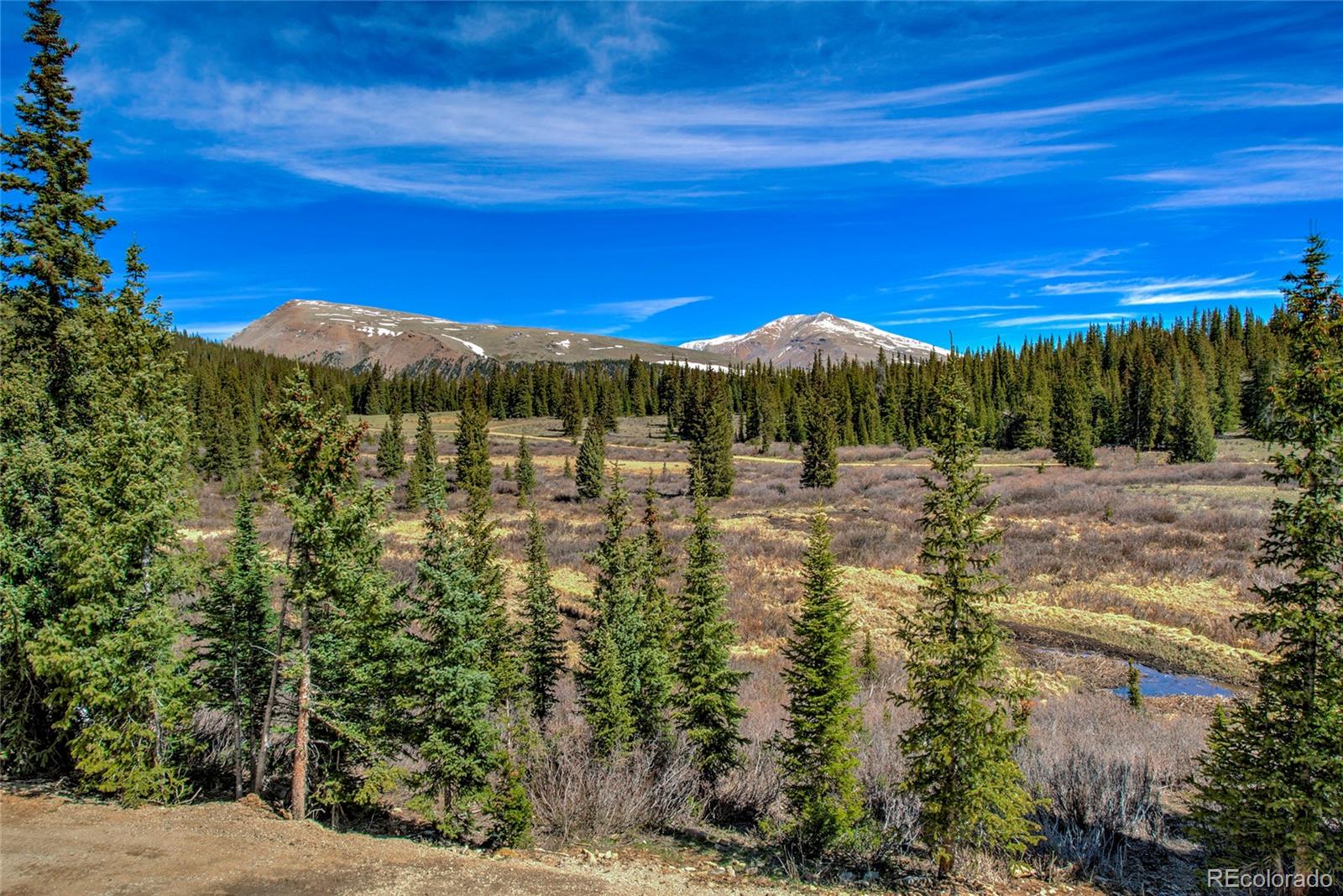 MLS Image #46 for 629  bum drive,fairplay, Colorado