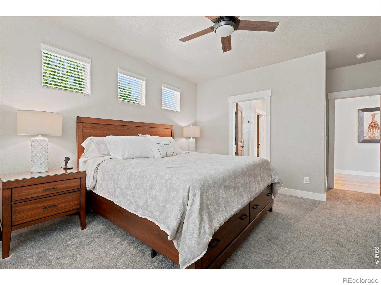 MLS Image #32 for 674  vermilion peak drive,windsor, Colorado