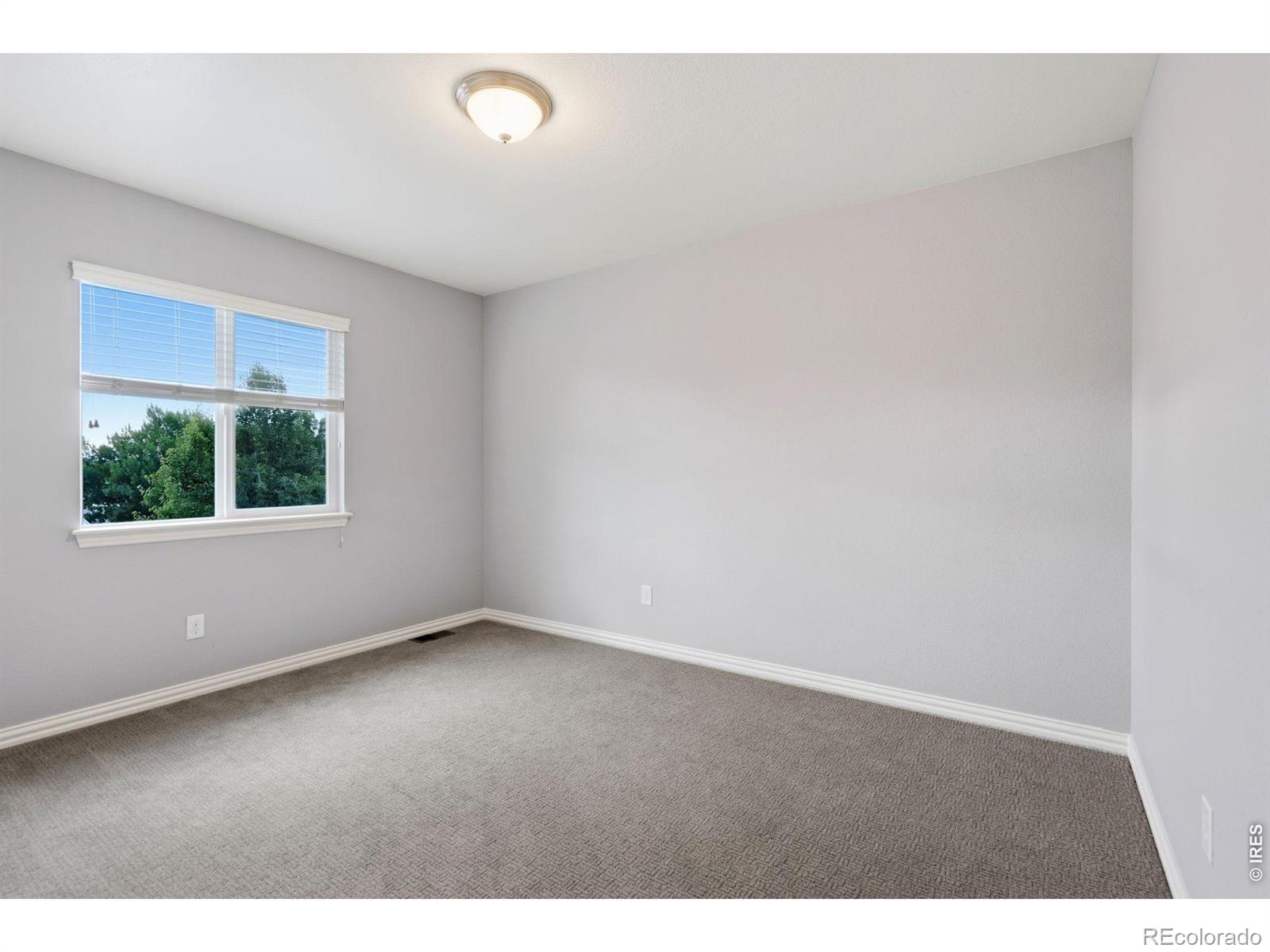 MLS Image #25 for 5751  banner street,timnath, Colorado
