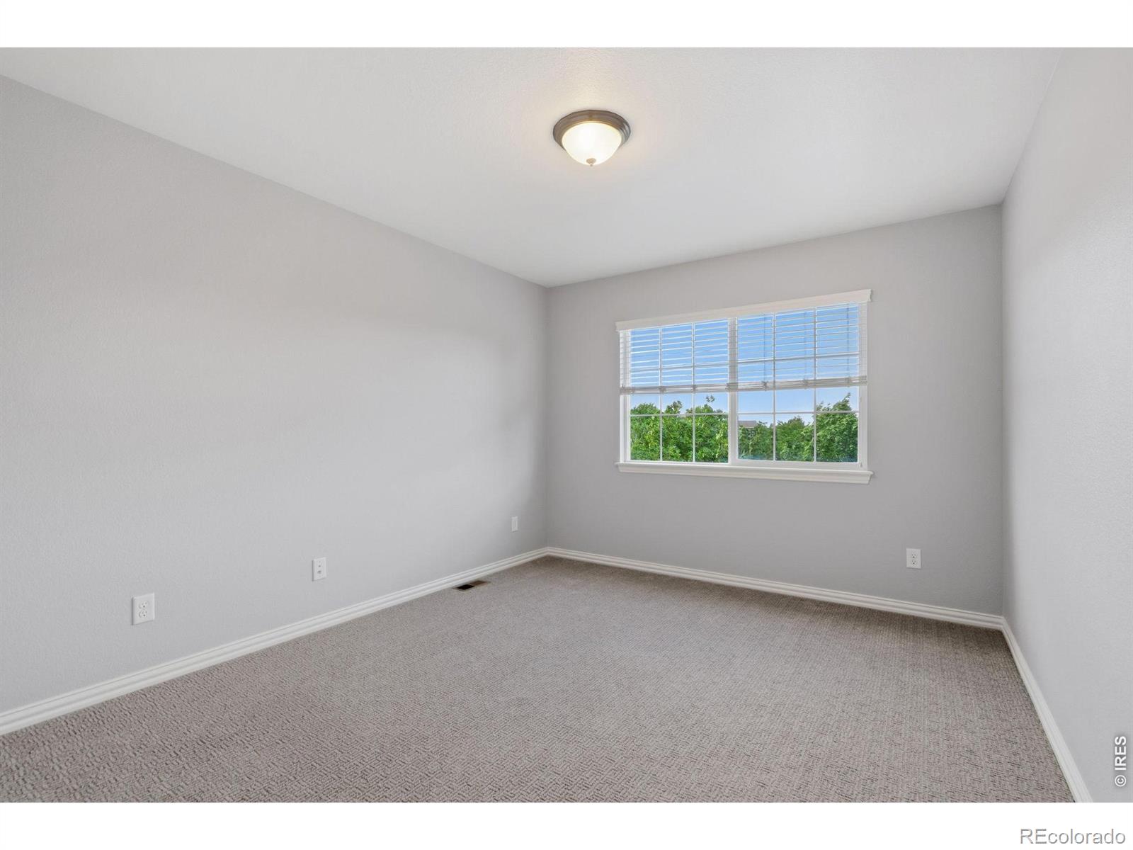 MLS Image #28 for 5751  banner street,timnath, Colorado