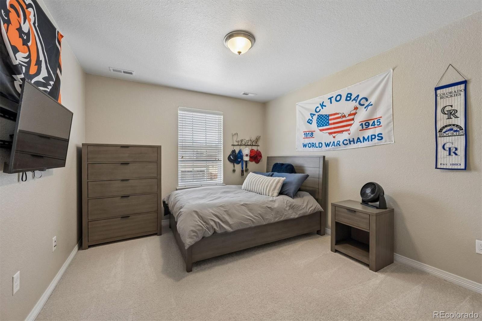 MLS Image #24 for 8630  zircon way,arvada, Colorado