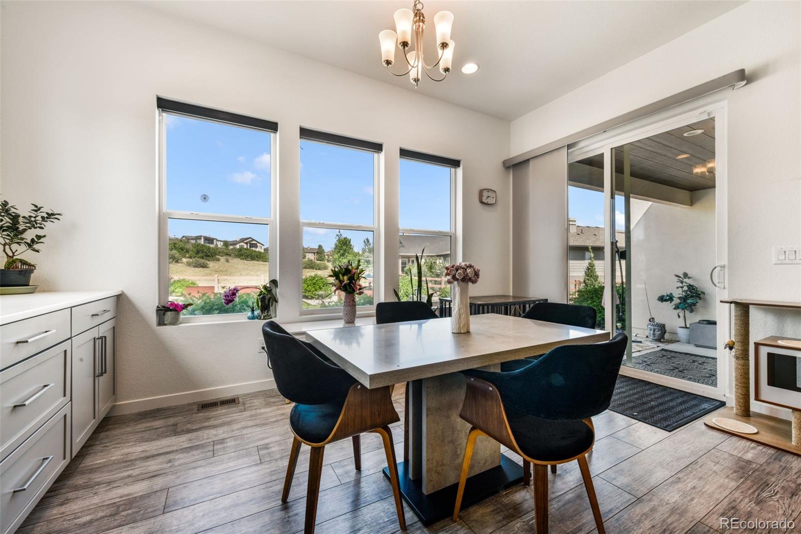 MLS Image #10 for 12315  candoni terrace,colorado springs, Colorado