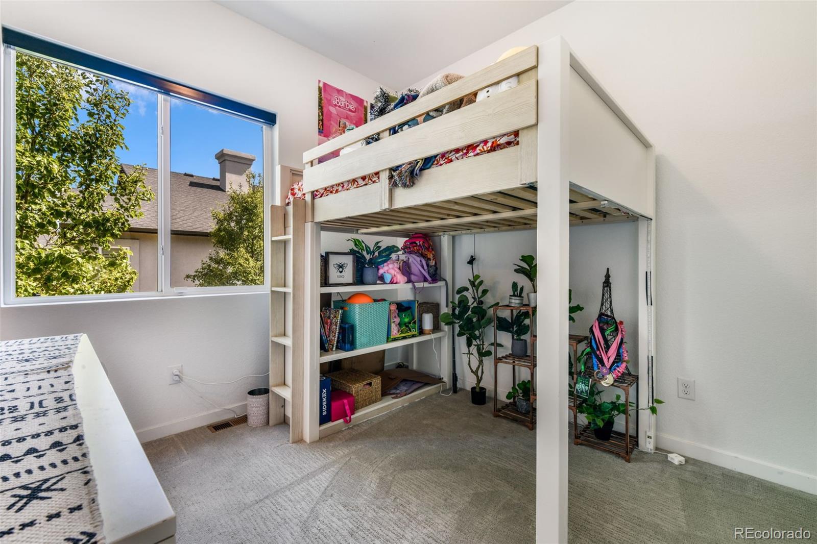 MLS Image #20 for 12315  candoni terrace,colorado springs, Colorado