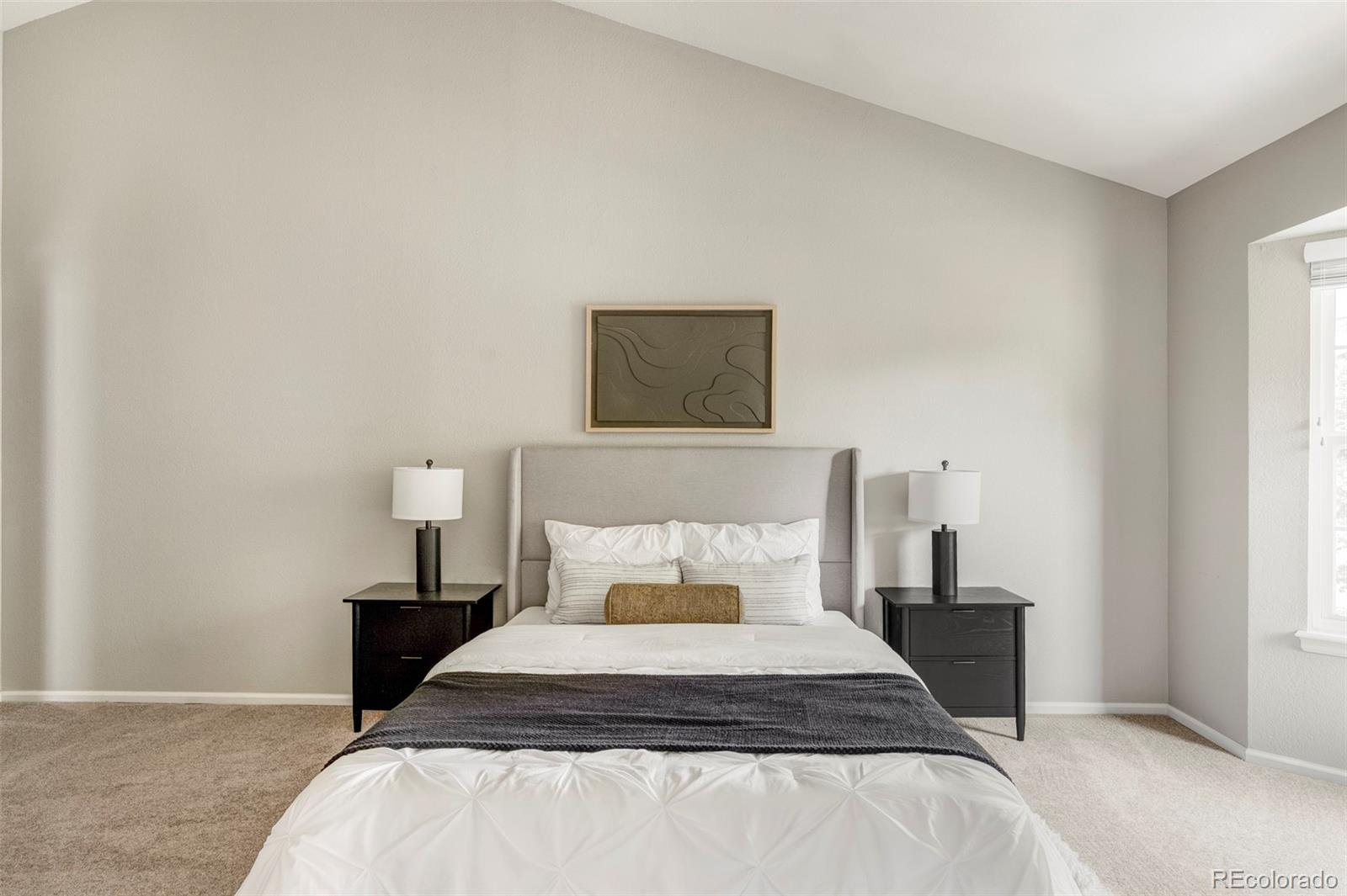 MLS Image #17 for 7932 s vine court,centennial, Colorado