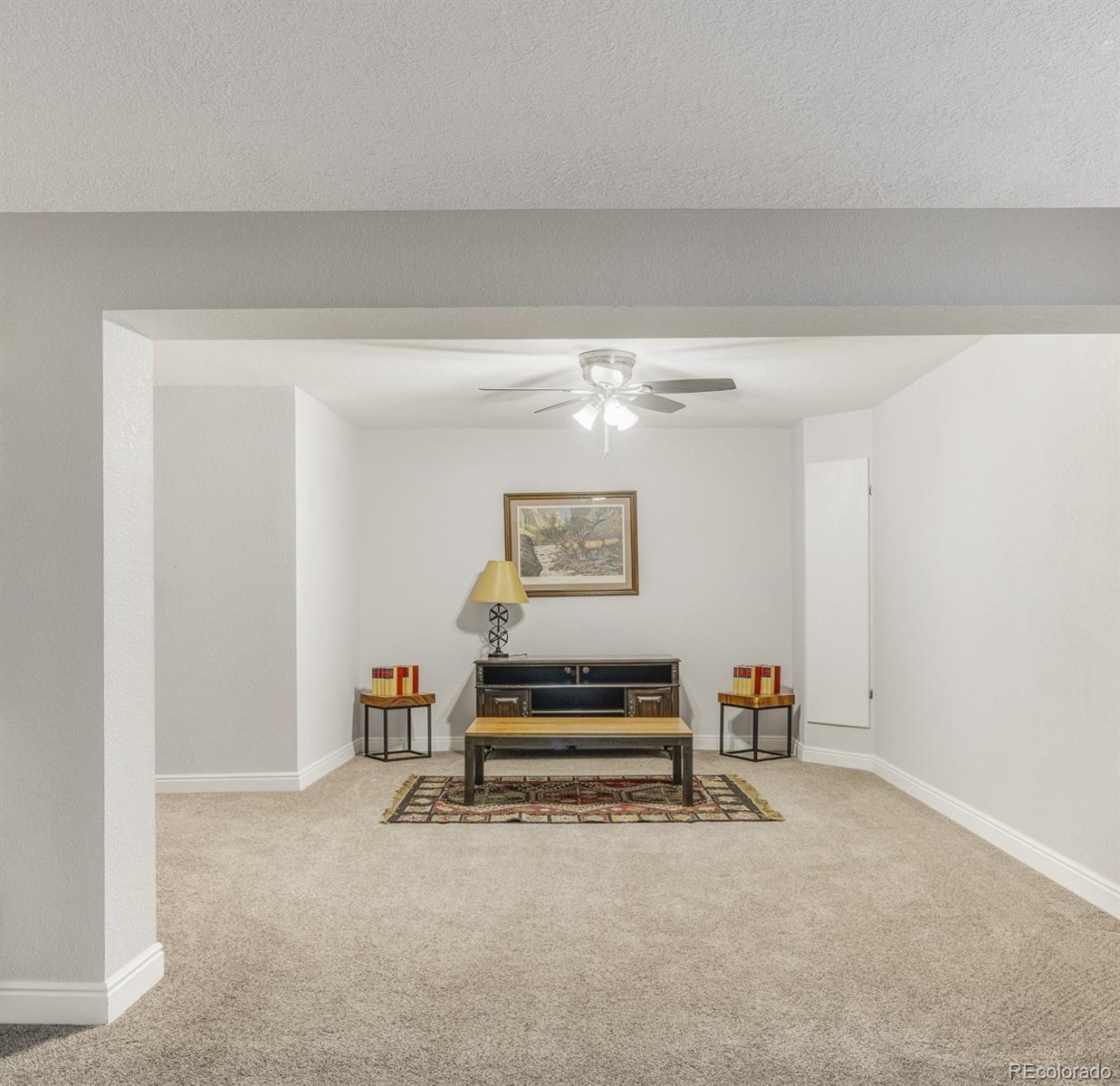 MLS Image #23 for 7932 s vine court,centennial, Colorado