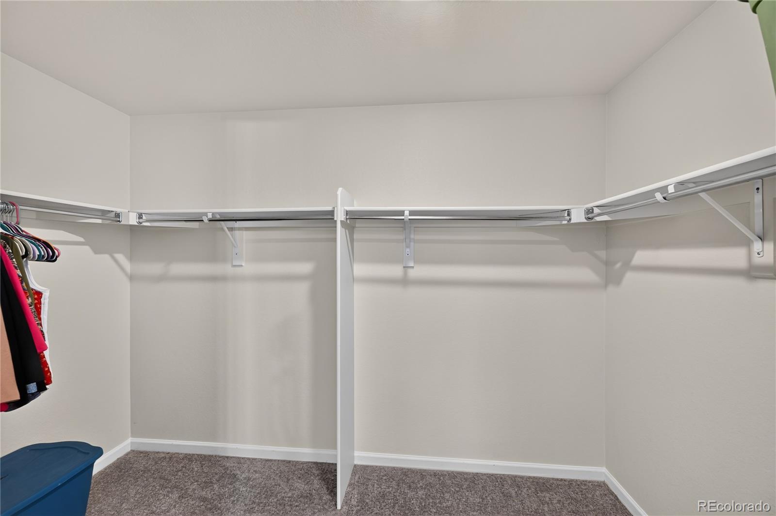 MLS Image #12 for 5470  blue lunar lane,castle rock, Colorado
